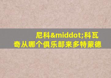 尼科·科瓦奇从哪个俱乐部来多特蒙德