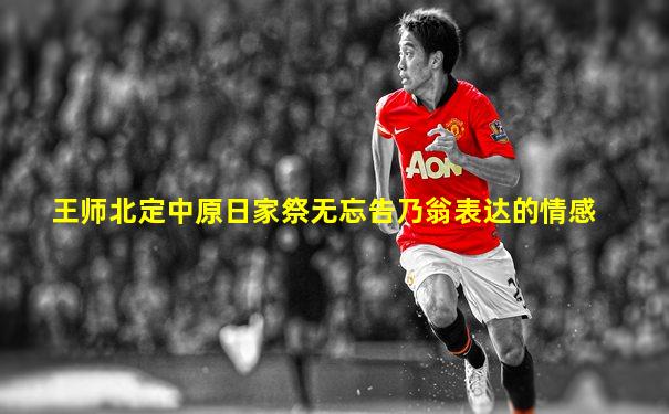 王师北定中原日家祭无忘告乃翁表达的情感
