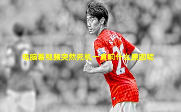 电脑看视频突然死机一直响什么原因呢