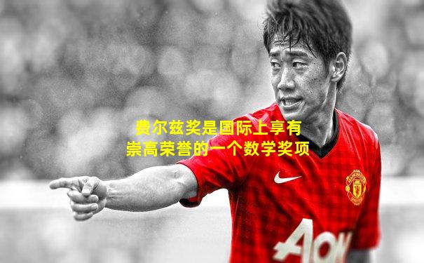 费尔兹奖是国际上享有崇高荣誉的一个数学奖项