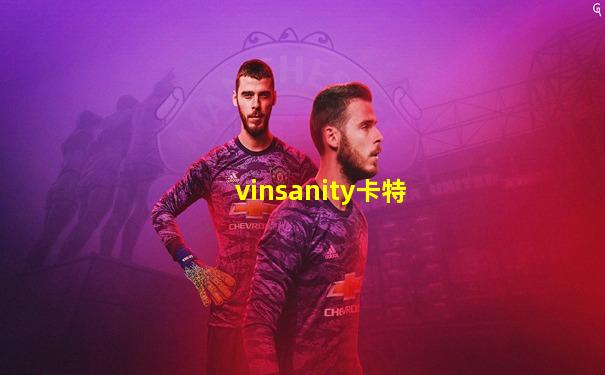 vinsanity卡特
