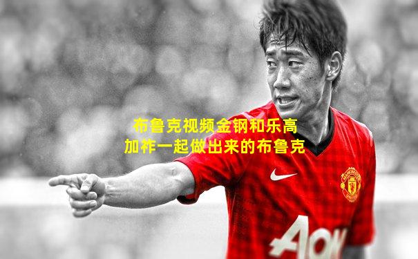 布鲁克视频金钢和乐高加祚一起做出来的布鲁克